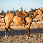 Jade Green Western Saddle Pad - Equestroom - Equiluxe Tack