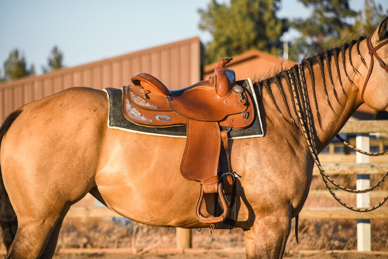 Jade Green Western Saddle Pad - Equestroom - Equiluxe Tack