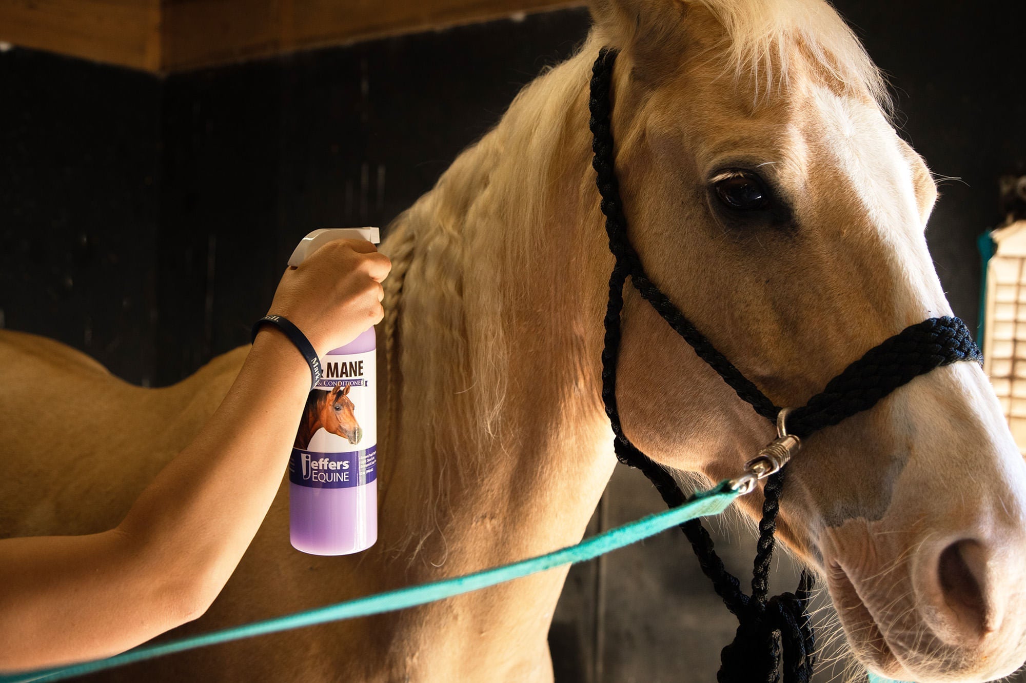Jeffers Equine Tail & Mane Detangler and Conditioner for Horses - Jeffers - Equiluxe Tack
