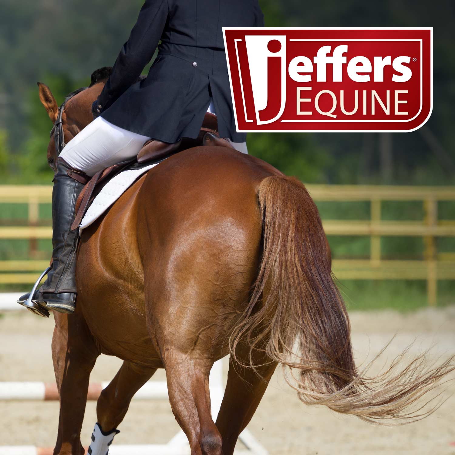 Jeffers Equine Tail & Mane Detangler and Conditioner for Horses - Jeffers - Equiluxe Tack