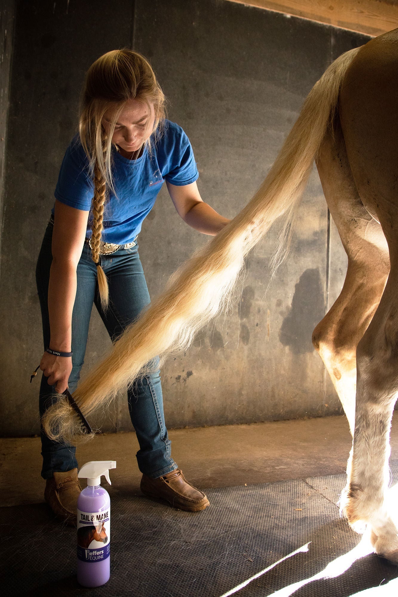 Jeffers Equine Tail & Mane Detangler and Conditioner for Horses - Jeffers - Equiluxe Tack