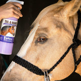Jeffers Equine Tail & Mane Detangler and Conditioner for Horses - Jeffers - Equiluxe Tack