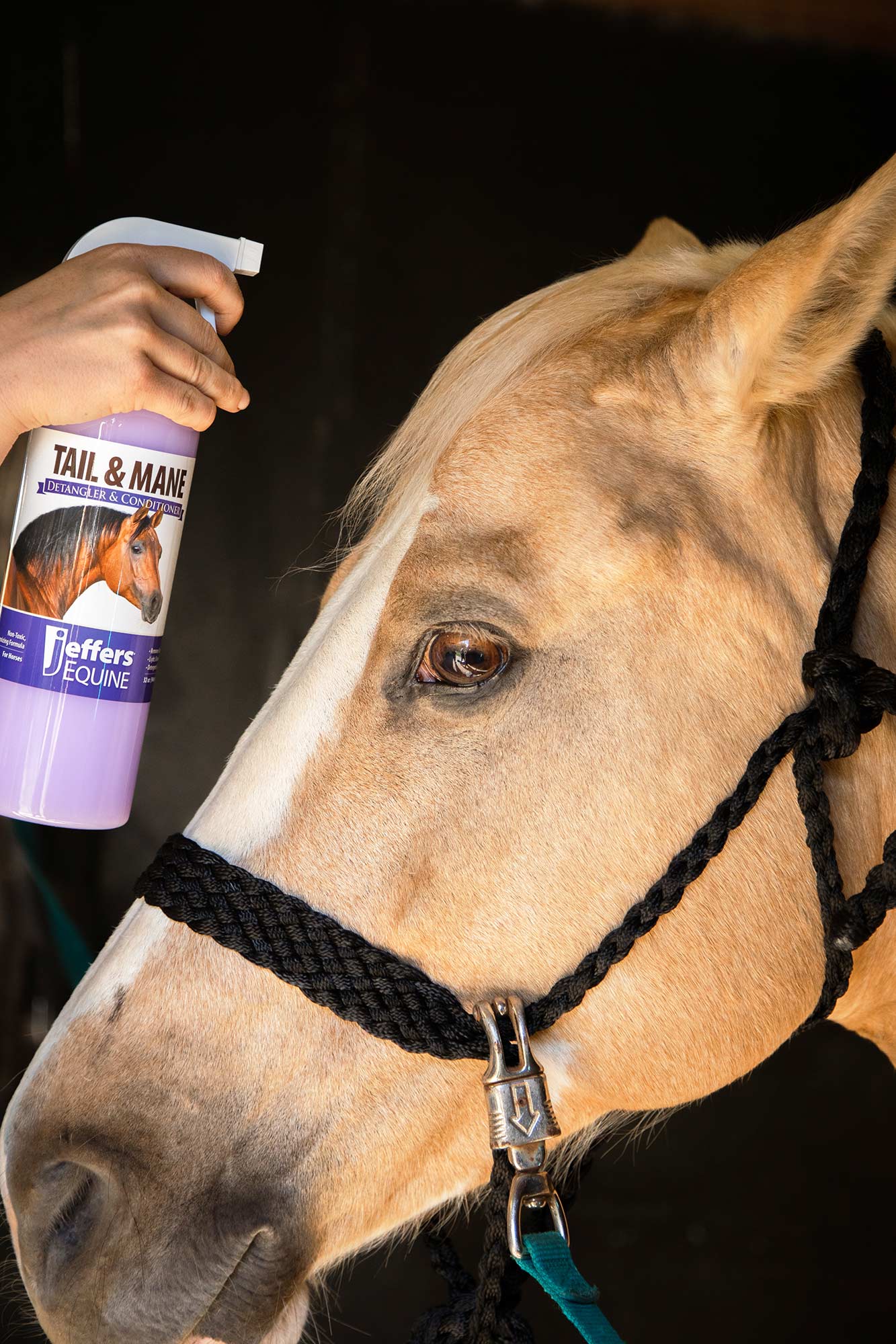 Jeffers Equine Tail & Mane Detangler and Conditioner for Horses - Jeffers - Equiluxe Tack