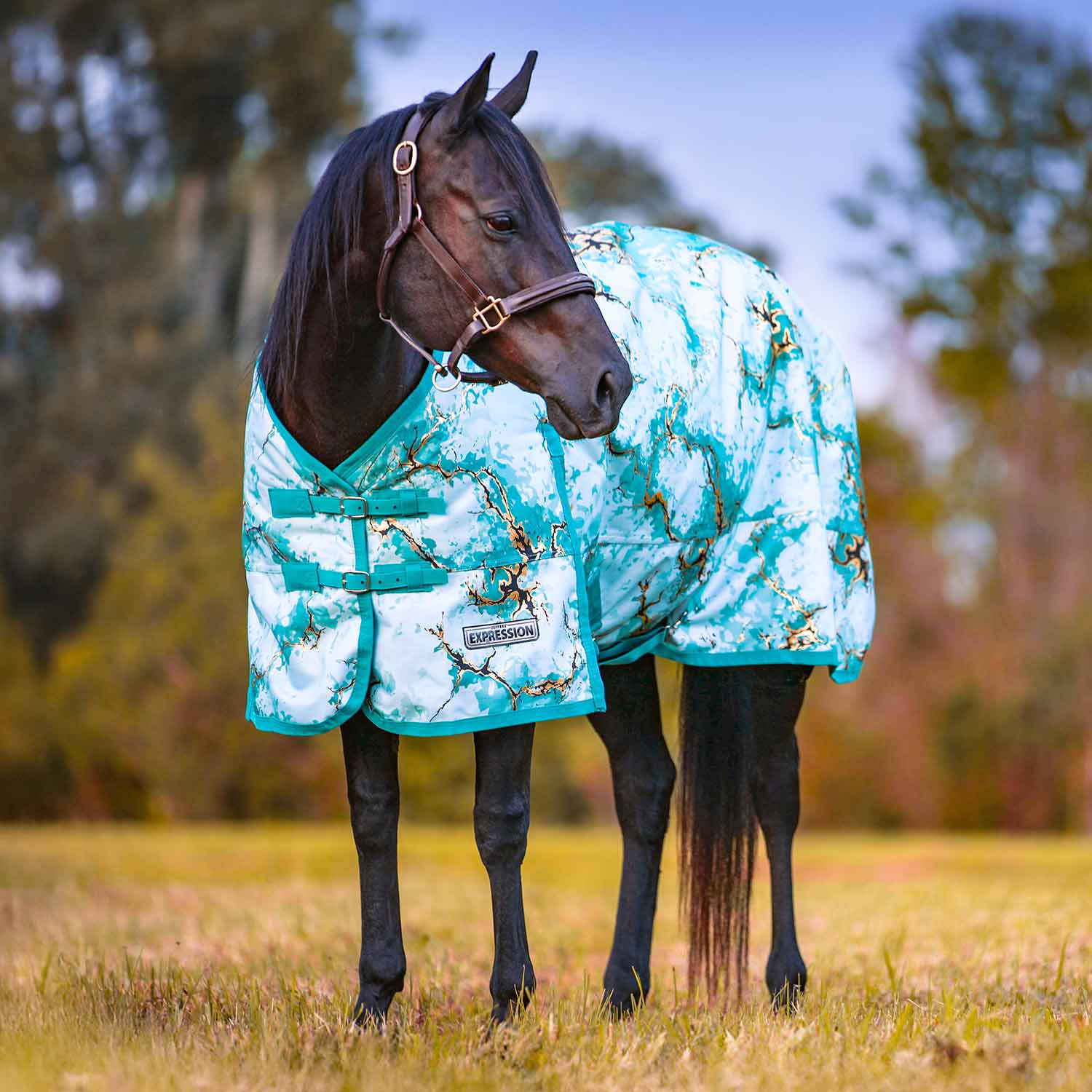 Jeffers Expression 1200 Denier Standard Neck Horse Turnout Sheet, 0 Gram - Jeffers - Equiluxe Tack