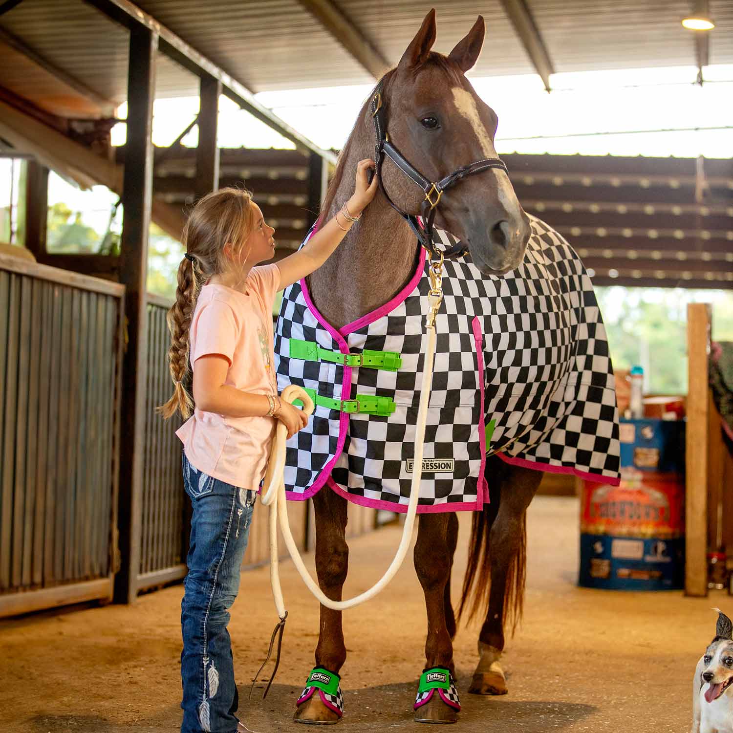 Jeffers Expression 1200 Denier Standard Neck Horse Turnout Sheet, 0 Gram - Jeffers - Equiluxe Tack