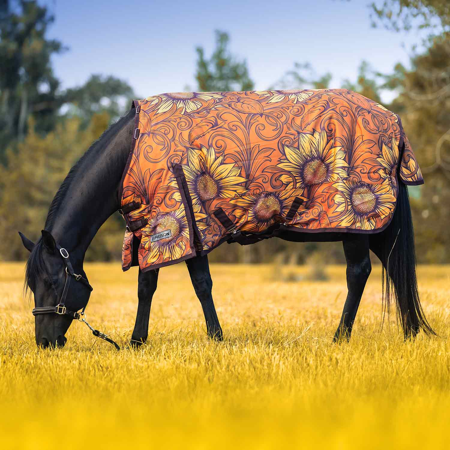 Jeffers Expression 1200 Denier Standard Neck Horse Turnout Sheet, 0 Gram - Jeffers - Equiluxe Tack