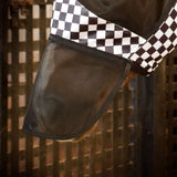 Jeffers Expression Deluxe Mesh Horse Fly Mask with Ears and Nose - Jeffers - Equiluxe Tack