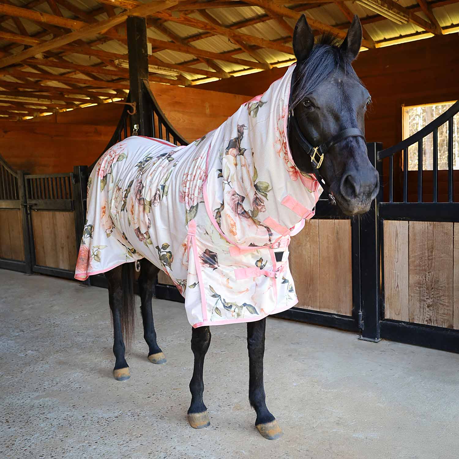 Jeffers Expression Softmesh Combo Neck Horse Fly Sheet - Jeffers - Equiluxe Tack