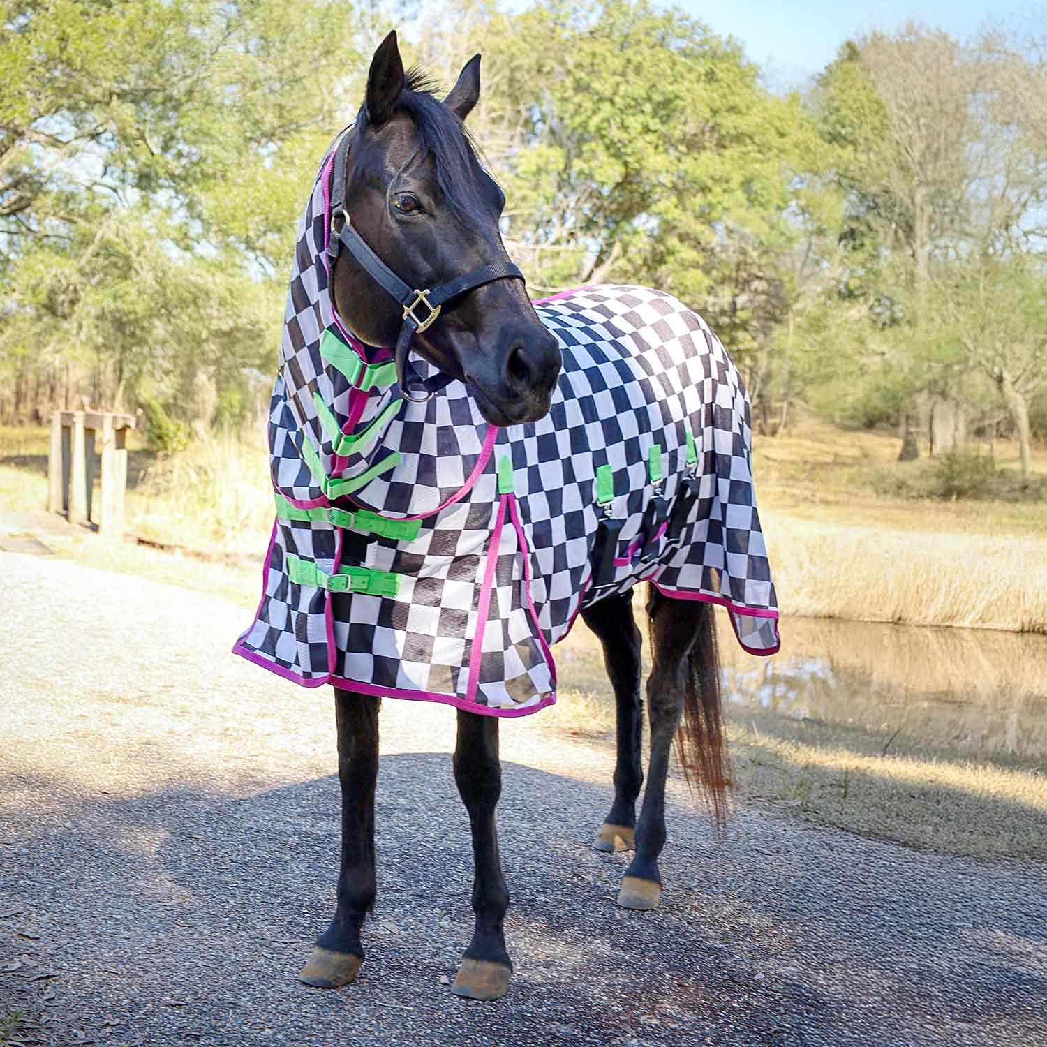 Jeffers Expression Softmesh Combo Neck Horse Fly Sheet - Jeffers - Equiluxe Tack