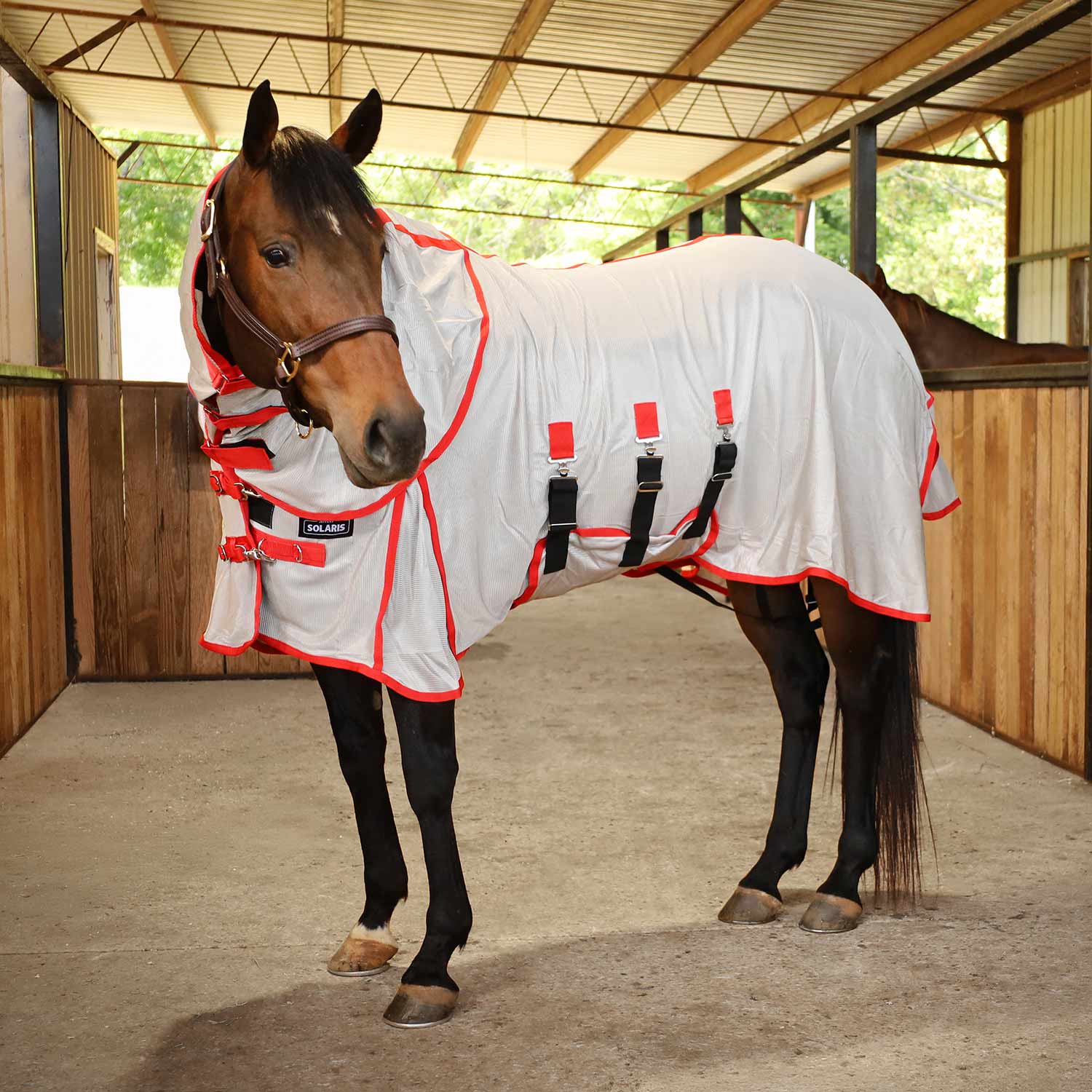 Jeffers Solaris Horse Fly Sheet with Detachable Neck, Grey & Red - Jeffers - Equiluxe Tack