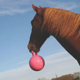 Jolly Ball® Scented 10" - Horsemens Pride - Equiluxe Tack