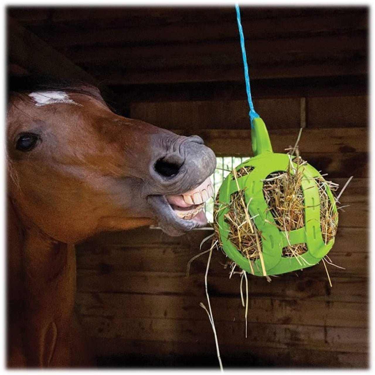 Jolly Hay Ball™ - Horsemens Pride - Equiluxe Tack