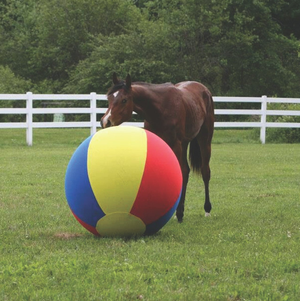 Jolly Mega Ball™ Cover 40" - Horsemens Pride - Equiluxe Tack