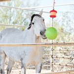 Jolly Stall Snack™ Combo - Equiluxe Tack