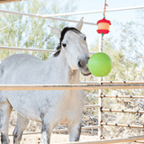 Jolly Stall Snack™ Combo - Equiluxe Tack