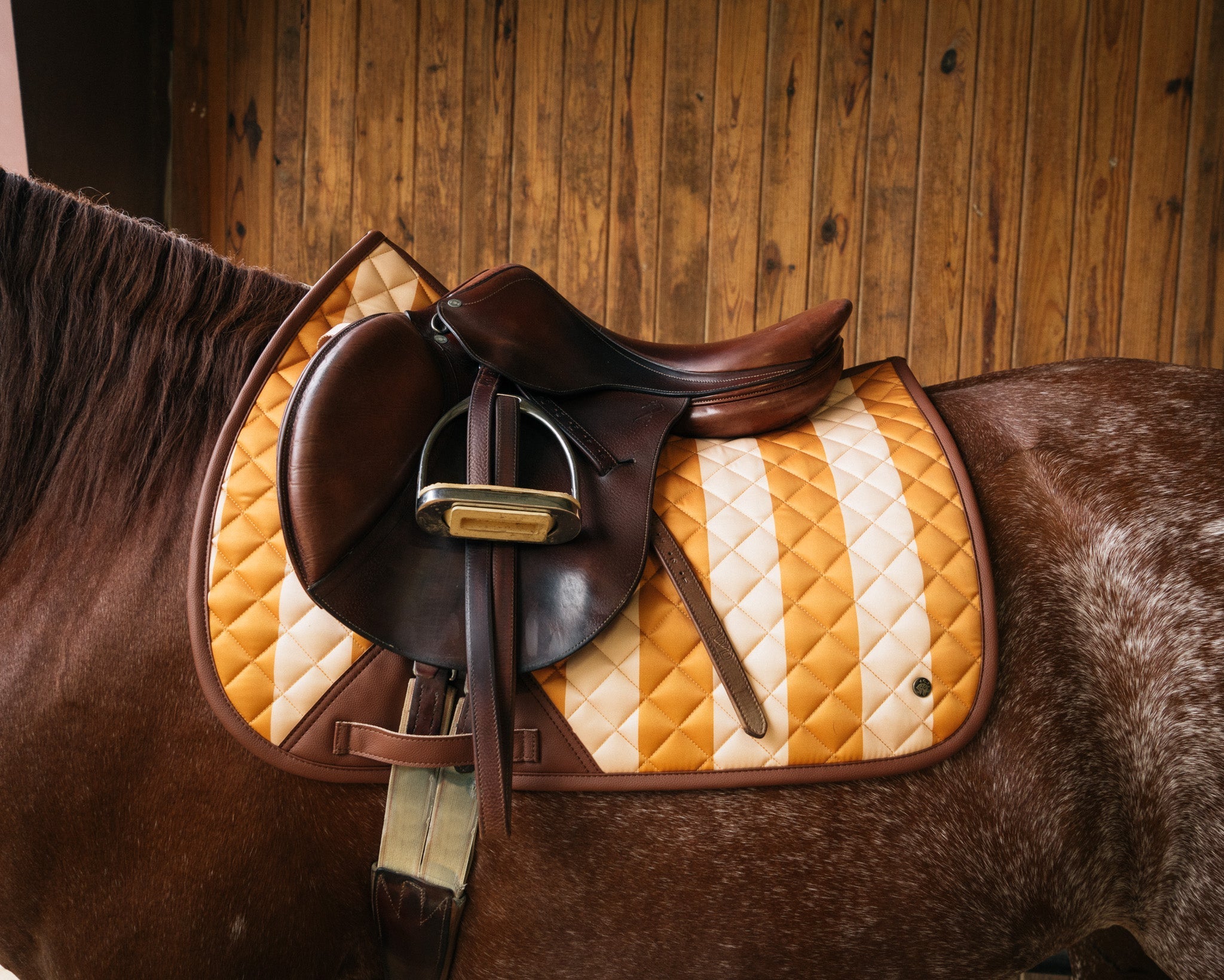 Jumper Pad, Capri Stripe - Sixteen Cypress - Equiluxe Tack