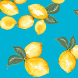 Kastel Denmark Sleeveless Ruched Back Tank Azure Lemons 1/4 Zip - Kastel Denmark - Equiluxe Tack
