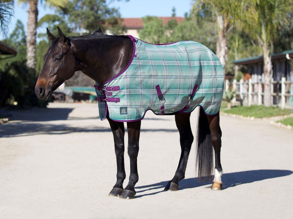 Kensington 73% UV Horse Protective Fly Sheet SureFit® Designed for an ideal Fit - Kensington - Equiluxe Tack