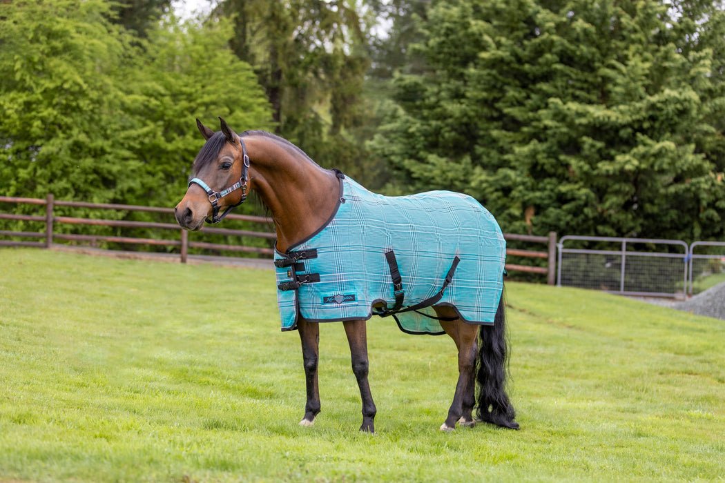 Kensington 73% UV Horse Protective Fly Sheet SureFit® Designed for an ideal Fit - Kensington - Equiluxe Tack