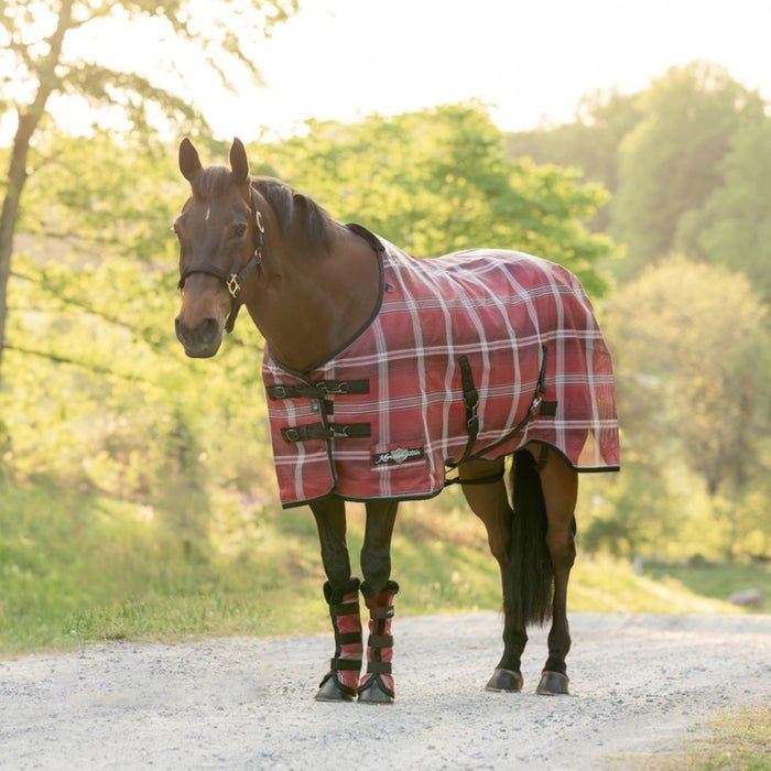 Kensington 73% UV Horse Protective Fly Sheet SureFit® Designed for an ideal Fit - Kensington - Equiluxe Tack