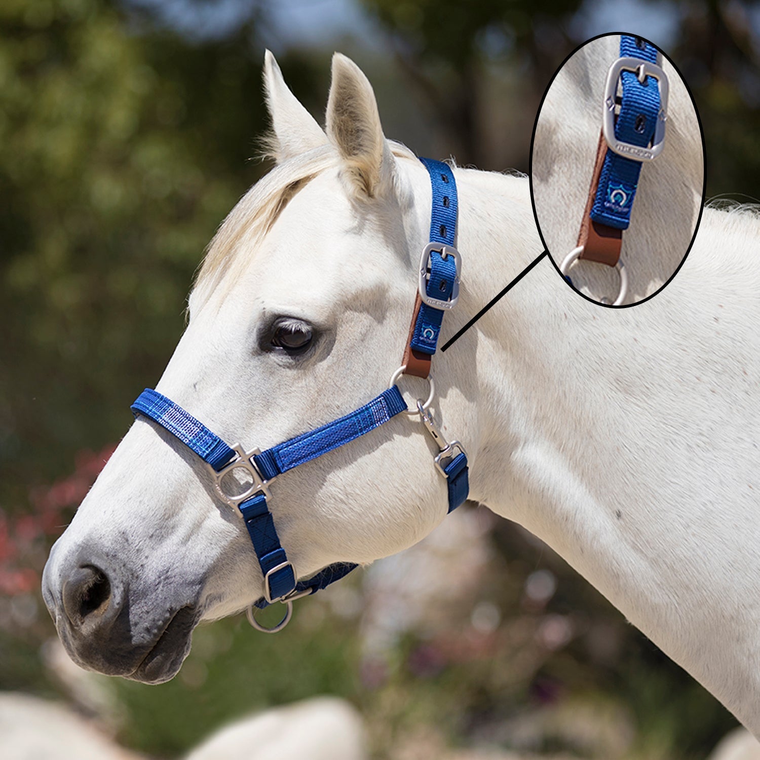 Kensington Premium Nylon Breakaway Halter - Kensington Protective Products - Equiluxe Tack