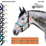 Kensington Premium Nylon Halter - Kensington Protective Products - Equiluxe Tack