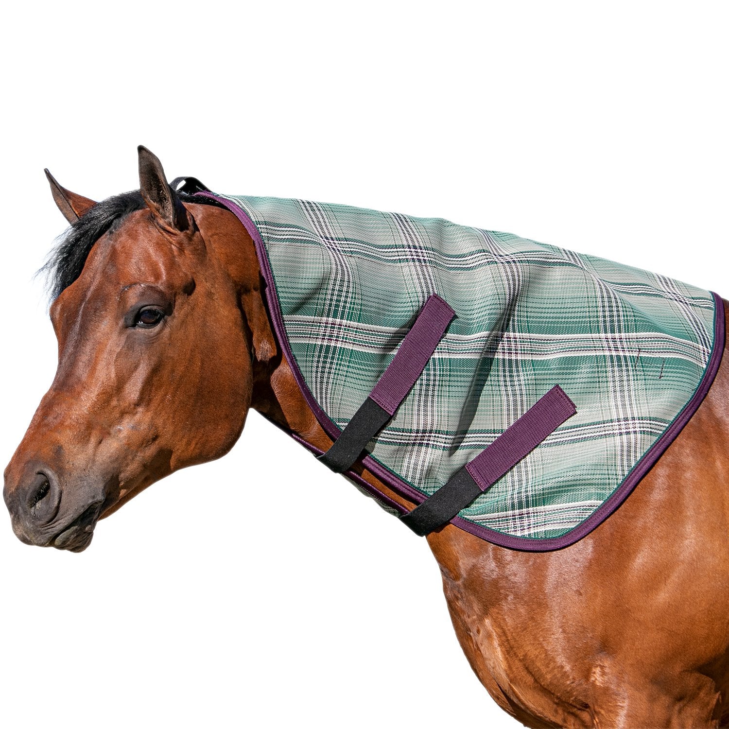 Kensington Signature Protective Fly Sheet Neck Piece - Kensington Protective Products - Equiluxe Tack