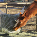 Kensington Slow Feed - Extended Day Net Freedom Feeder - 2 String Bale - Freedom Feeder - Equiluxe Tack