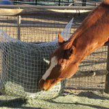 Kensington Slow Feed - Extended Day Net Freedom Feeder - 2 String Bale - Freedom Feeder - Equiluxe Tack