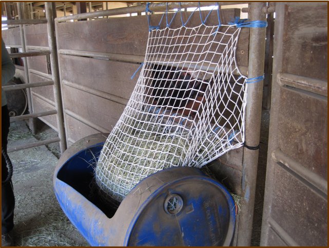 Kensington Slow Feed - Extended Day Net Freedom Feeder - 2 String Bale - Freedom Feeder - Equiluxe Tack