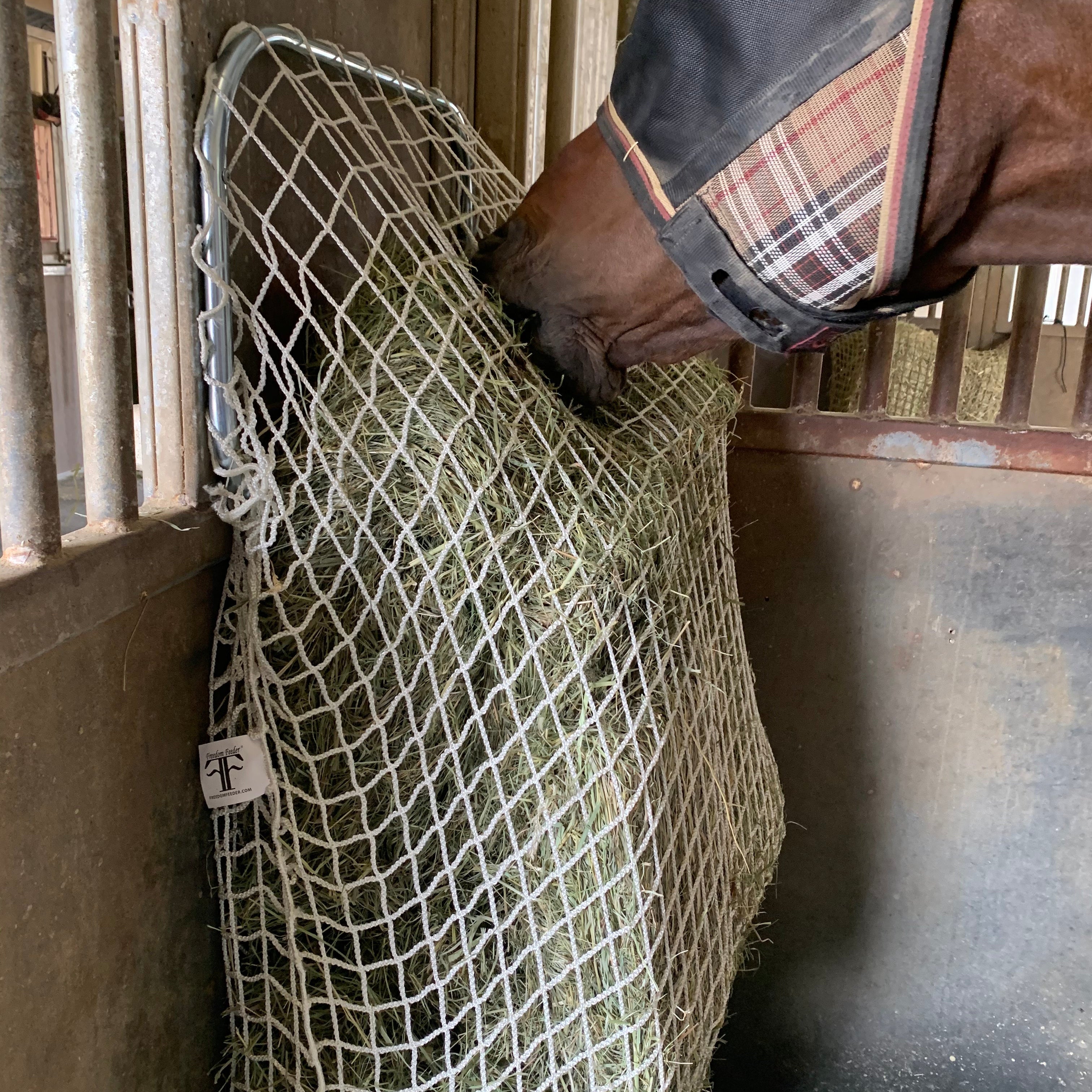 Kensington Slow Feed - Freedom Feeder Frame - Kensington Protective Products - Equiluxe Tack