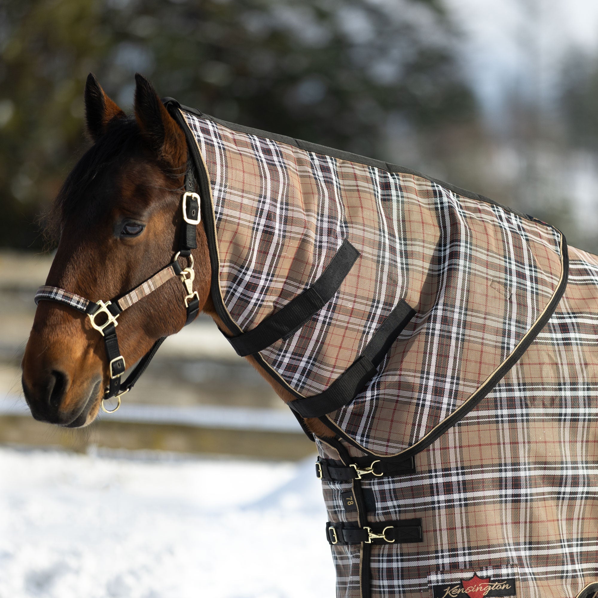 Kensington SuperMesh® Neck Warmer - Kensington Protective Products - Equiluxe Tack