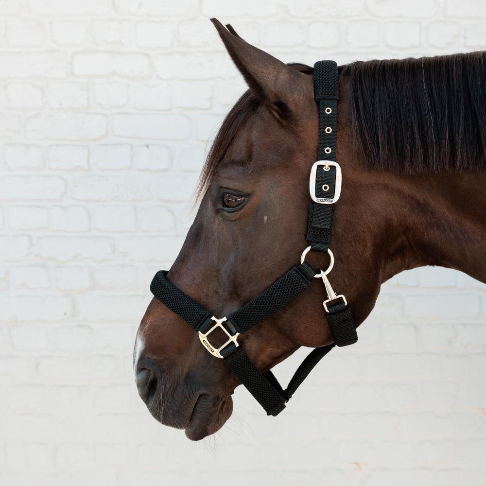 Kentucky Horsewear 3D Mesh Halter Black - Equiluxe Tack