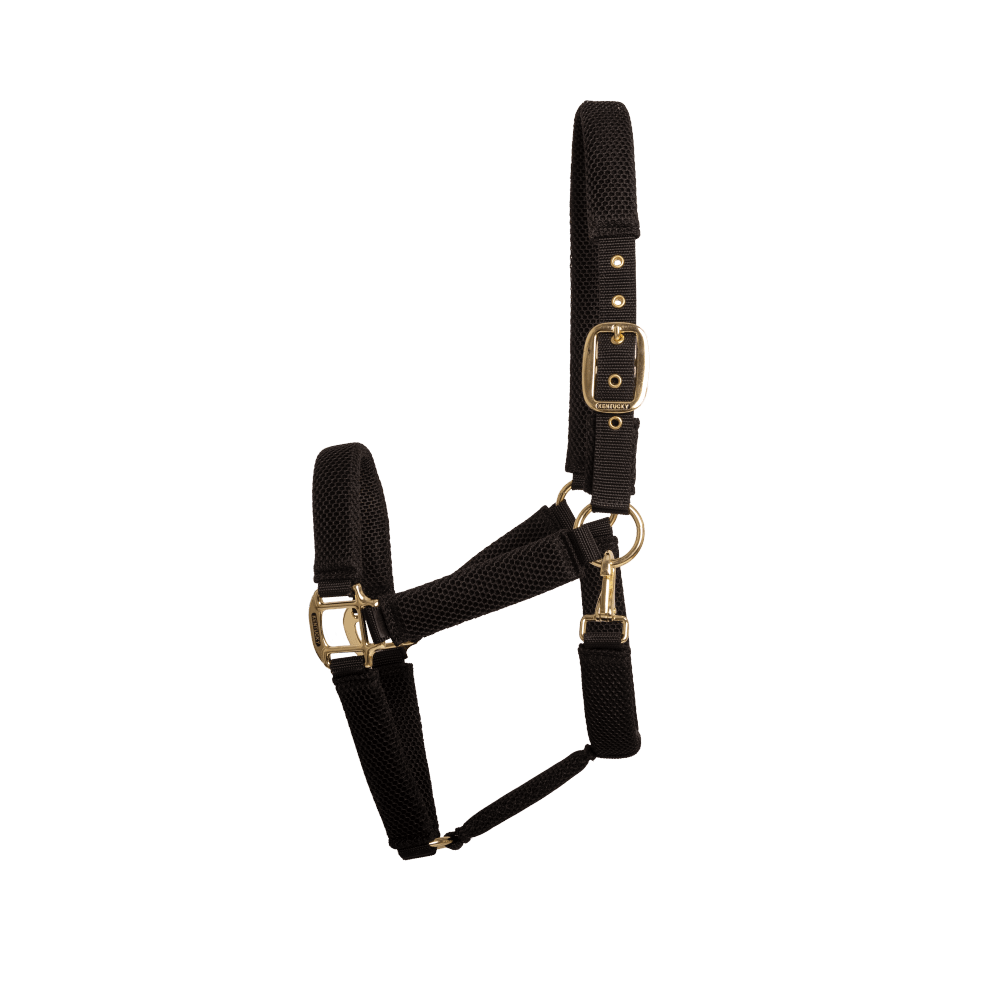 Kentucky Horsewear 3D Mesh Halter Black - Equiluxe Tack