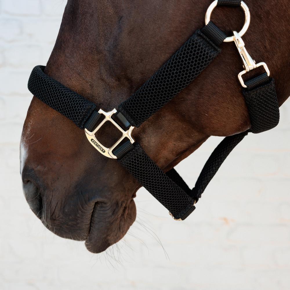 Kentucky Horsewear 3D Mesh Halter Black - Equiluxe Tack