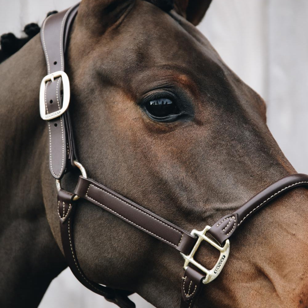 Kentucky Horsewear Anatomic Leather Halter - Kentucky Horsewear - Equiluxe Tack