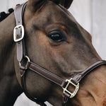 Kentucky Horsewear Anatomic Leather Halter - Kentucky Horsewear - Equiluxe Tack