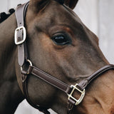 Kentucky Horsewear Anatomic Leather Halter - Kentucky Horsewear - Equiluxe Tack