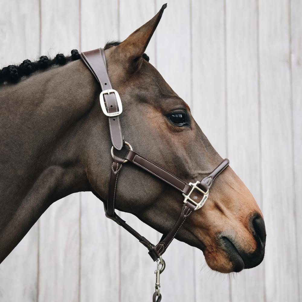 Kentucky Horsewear Anatomic Leather Halter - Equiluxe Tack
