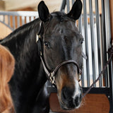 Kentucky Horsewear Anatomic Leather Halter - Equiluxe Tack