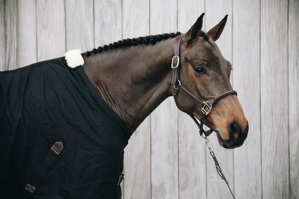 Kentucky Horsewear Anatomic Leather Halter - Kentucky Horsewear - Equiluxe Tack