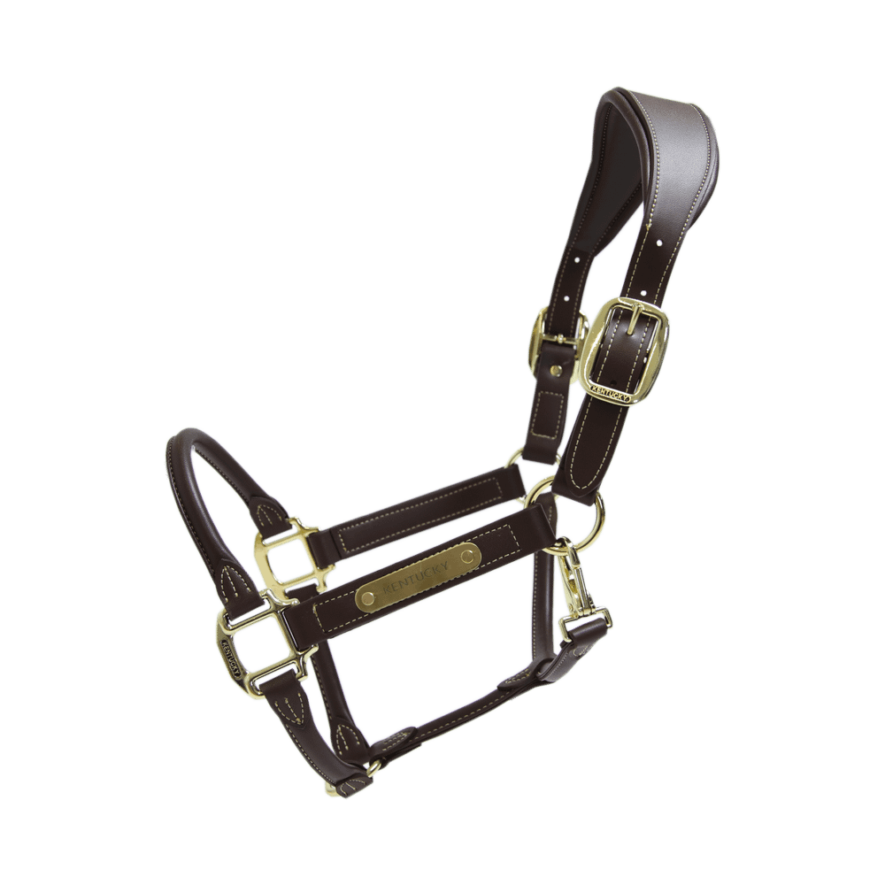 Kentucky Horsewear Anatomic Leather Halter - Kentucky Horsewear - Equiluxe Tack