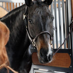 Kentucky Horsewear Anatomic Leather Halter - Kentucky Horsewear - Equiluxe Tack