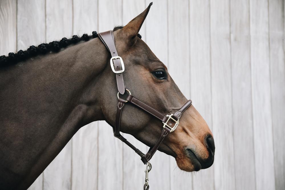 Kentucky Horsewear Anatomic Leather Halter - Kentucky Horsewear - Equiluxe Tack