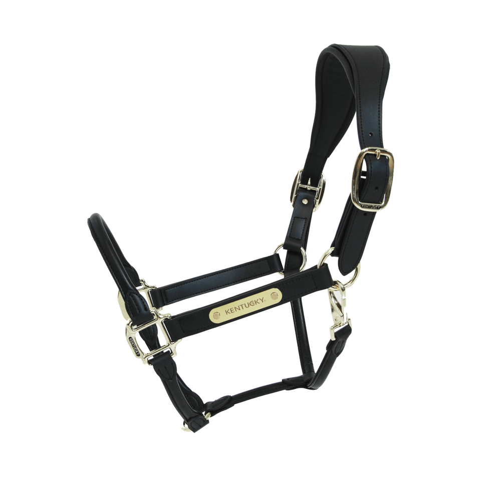 Kentucky Horsewear Anatomic Leather Halter - Equiluxe Tack