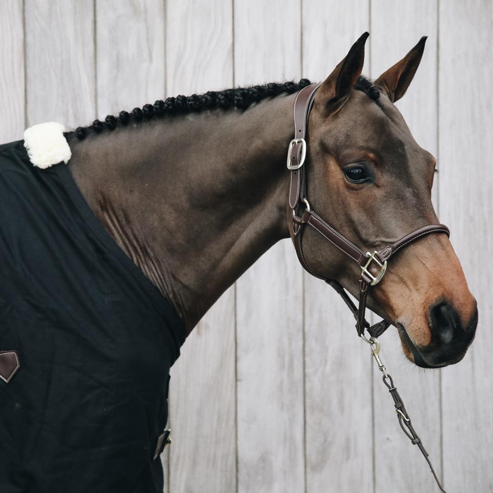 Kentucky Horsewear Anatomic Leather Halter Neck Piece - Equiluxe Tack