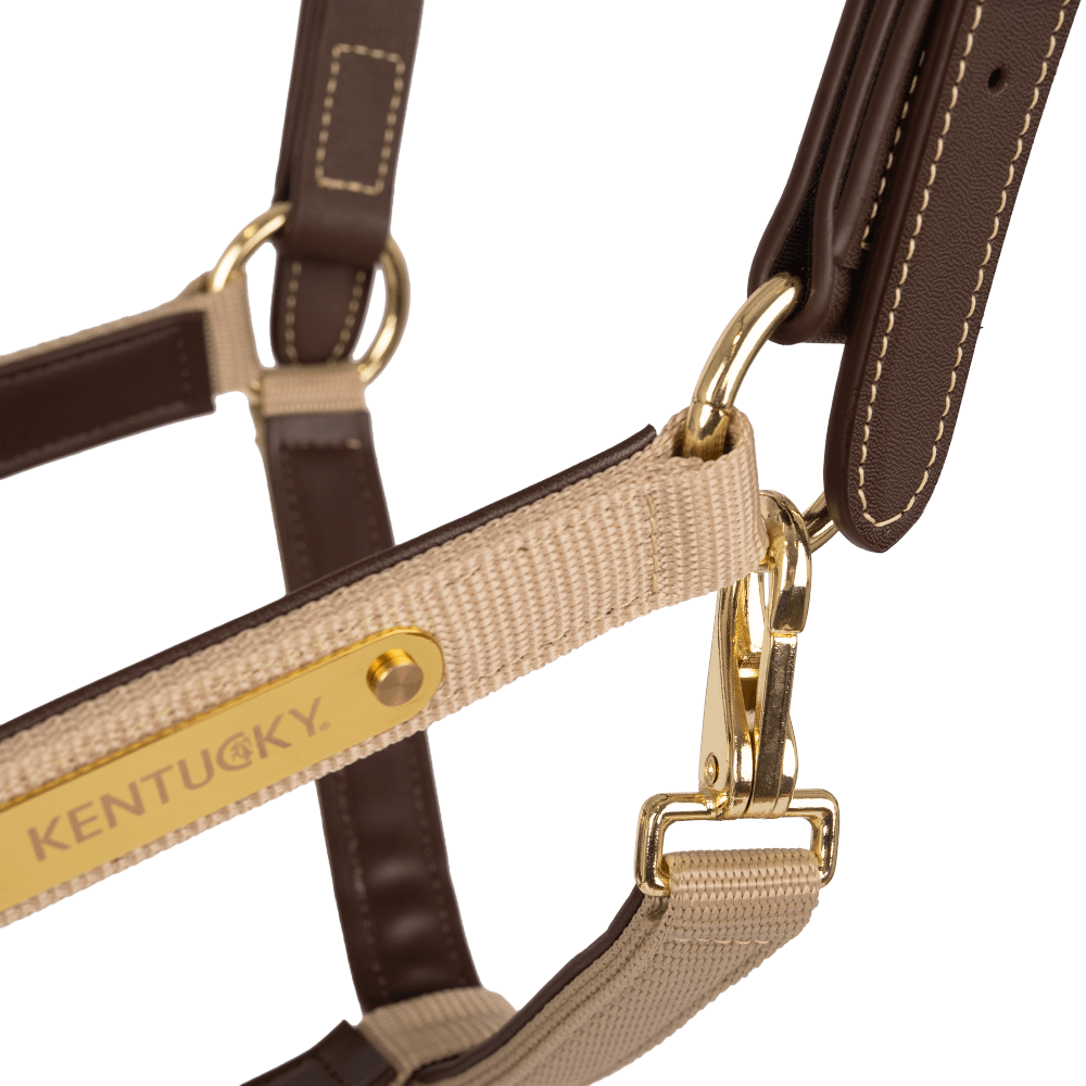 Kentucky Horsewear Anatomic Nylon Halter - Equiluxe Tack