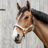 Kentucky Horsewear Anatomic Nylon Halter - Equiluxe Tack