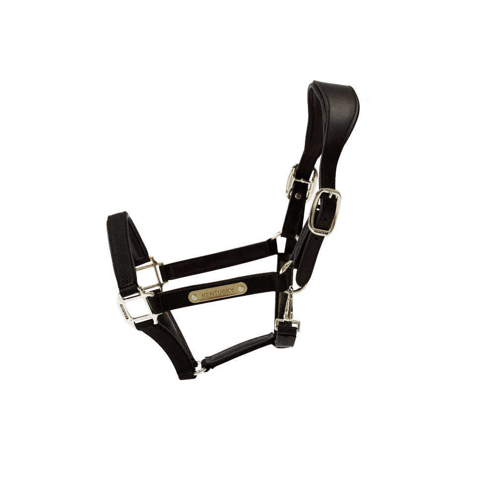 Kentucky Horsewear Anatomic Nylon Halter - Equiluxe Tack