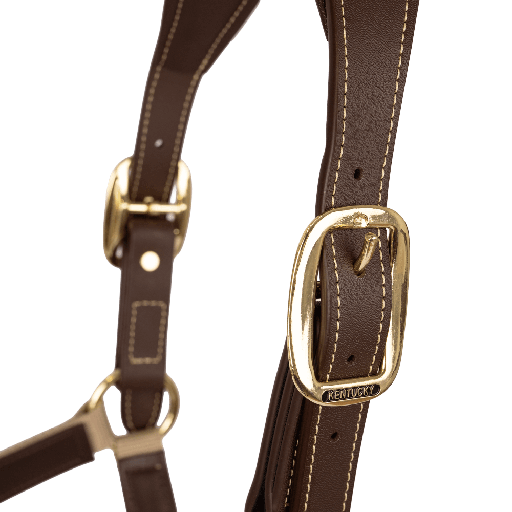 Kentucky Horsewear Anatomic Nylon Halter - Equiluxe Tack